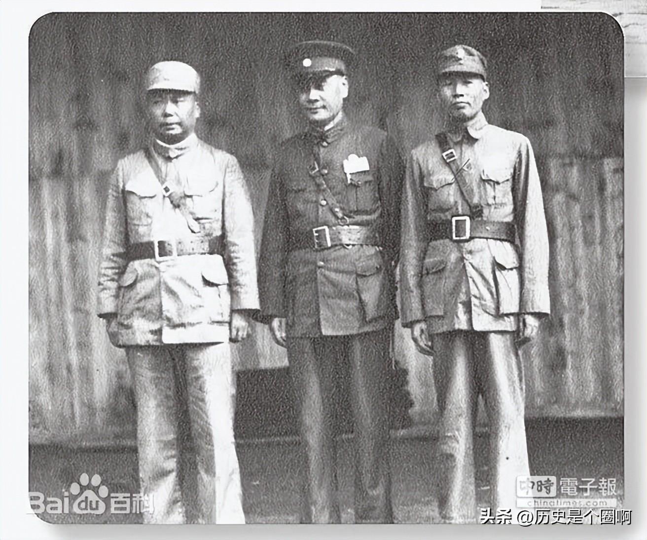 鉴龟数策_鉴龟平台_龟鉴