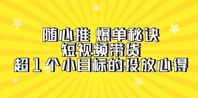 随心推 爆单秘诀，短视频带货-超1个小目标的投放心得（7节视频课）