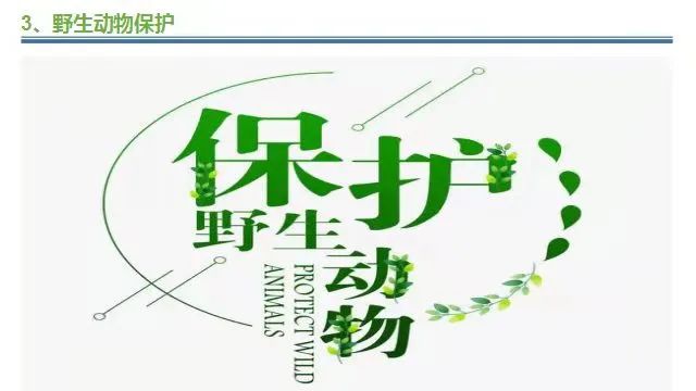 富爸富妈_我们没有富爸爸富妈妈_富爸爸穷爸爸有用吗