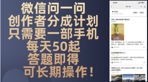 一个几乎没什么门槛的项目