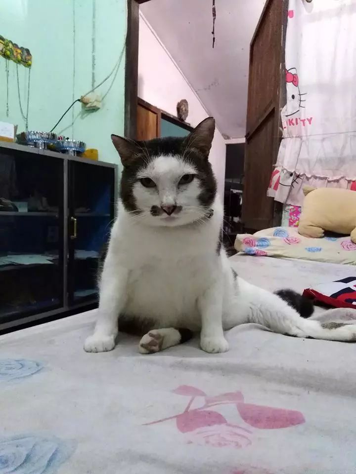 人生是一个跳不出去的怪圈_跳出怪圈小故事_跳出怪圈的图片