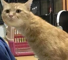 人生是一个跳不出去的怪圈_跳出怪圈小故事_跳出怪圈的图片