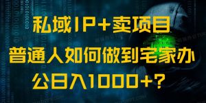 私域IP+卖项目，普通人如何做到宅家办公实现日入1000+