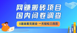 网赚搬砖项目，国内问卷调查，0基础看完就会 1天轻松三四百，靠谱副业…