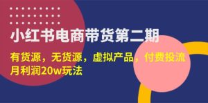 ，有货源，无货源，虚拟产品，付费投流，月利润20w