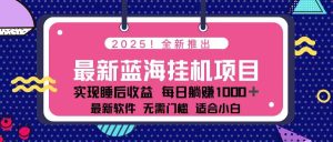 2025最新挂机躺赚项目， 一台电脑轻松日入500