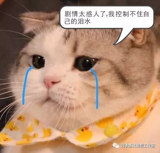策划的工作职能是什么_策划内容工作是什么_策划的工作内容是什么