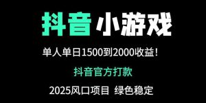 抖音官方小游戏2025全网最新玩法，暴利赚钱项目，单机日入2000+