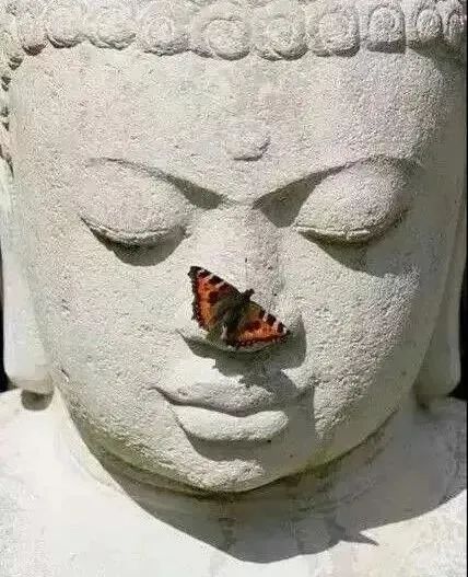 没有烦恼的世界_烦恼的世界是哪首歌的歌词_烦恼没有烦恼是什么歌