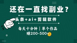 头条全新玩发加持软件搬视频，每天十分钟，单个作品收入200-500左右