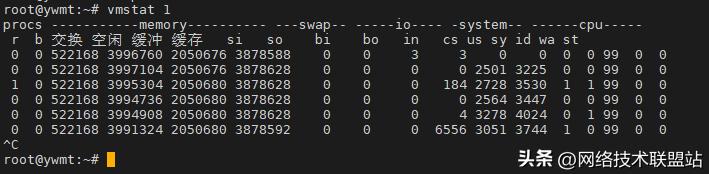 linux查看系统进程命令_free命令使用教程_Linux内存管理命令