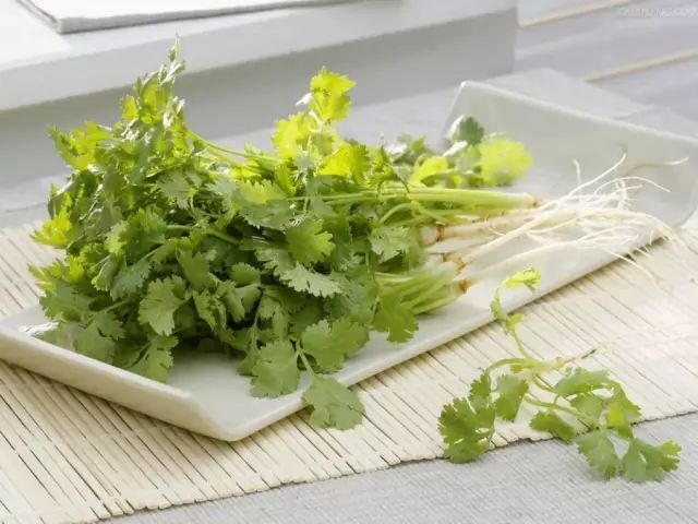 回家吃饭的智慧2完整_回家吃饭的智慧食疗方_陈允斌食方大全