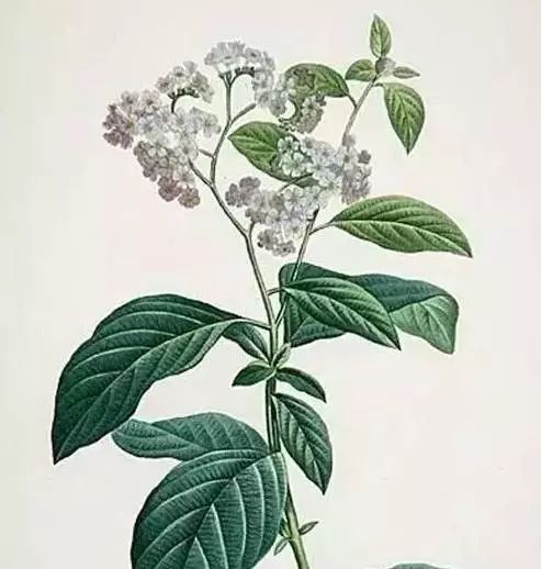 岁月沧桑感悟_淡定人生境界_淡定沉稳是不是经历很多
