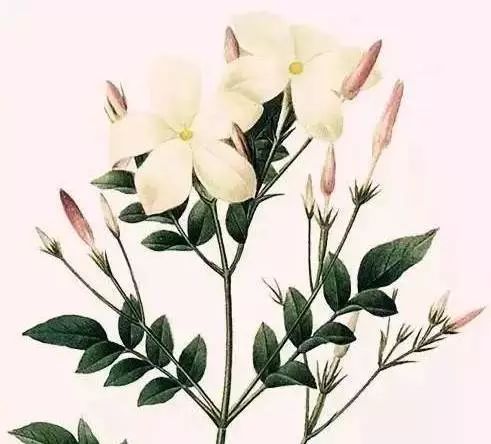 淡定人生境界_淡定沉稳是不是经历很多_岁月沧桑感悟