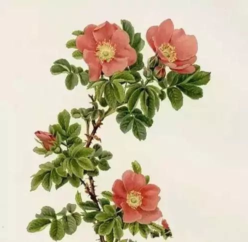 淡定人生境界_岁月沧桑感悟_淡定沉稳是不是经历很多