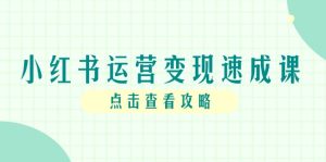 小红书运营变现速成课，账号搭建到暴力起号，个人IP全流程指南