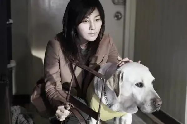 有没有盲人按摩的培训机构_盲人就业歧视_盲人按摩职业现状
