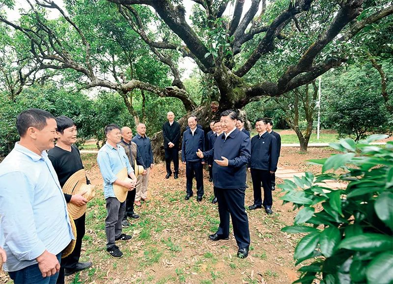 没有话语调研权怎么办_无调研就无话语权_没有调研就没有话语权