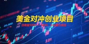 美金对冲创业项目，日收益 1000 – 4000，小众暴力项目