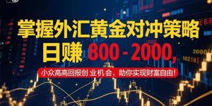 掌握外汇黄金对冲策略，日赚 800 – 2000，小众高回报创业机会，助你实…