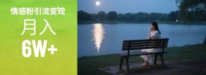 情感粉引流变现实操课：单月变现6w+，情感粉引流变现实操课