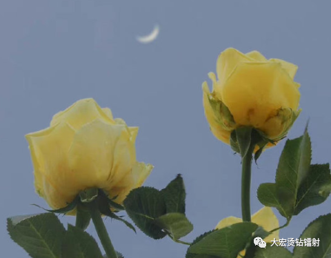 生活有太多的无奈说说_生活无奈与坚强_心酸生活感悟