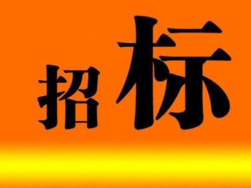 招投标信息官方渠道_垂直招投标信息网站特点_中国招标网有用吗