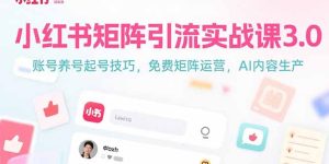 小红书矩阵引流实战课3.0：账号养号起号技巧，免裴矩阵运营，AI内容生产