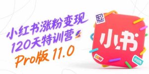 小红书涨粉变现120天特训营Pro版11.0：从0到1掌握平台运营,内容制作和变现