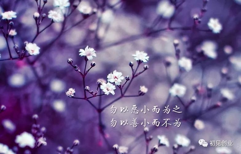 手工制品网店销售_小本生意创业项目_现在代理小本赚钱生意