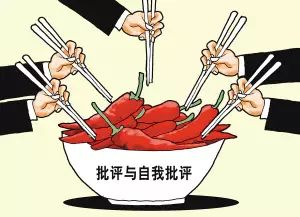 见人见事见思想写作技巧_民主生活会发言材料撰写_党员生活会发言材料