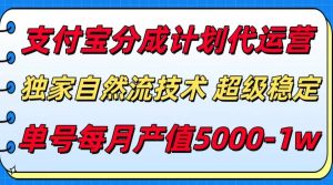 支付宝分成计划代运营，最新自然流技术，收益稳定，单号月产5000＋！
