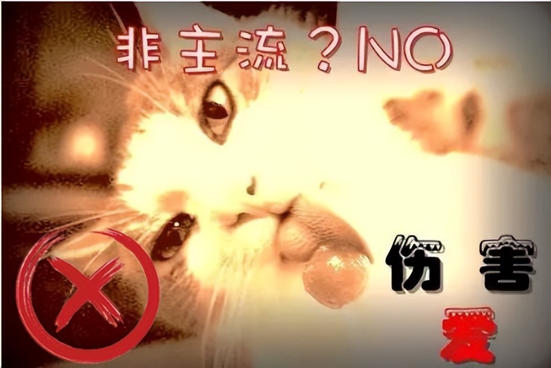 考试用的照片要求_法律职业资格考试报名照片不合格原因_2022年国家统一法律职业资格考试报名照片要求