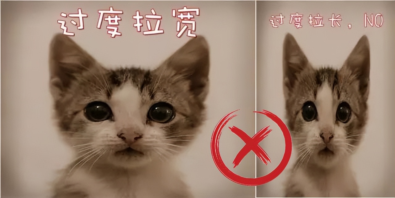 考试用的照片要求_2022年国家统一法律职业资格考试报名照片要求_法律职业资格考试报名照片不合格原因