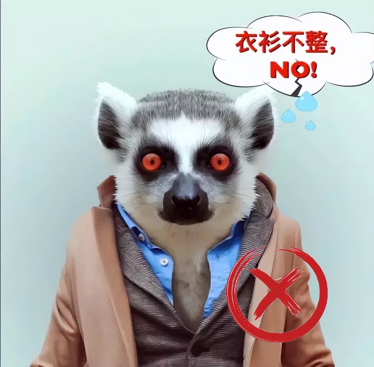 考试用的照片要求_法律职业资格考试报名照片不合格原因_2022年国家统一法律职业资格考试报名照片要求