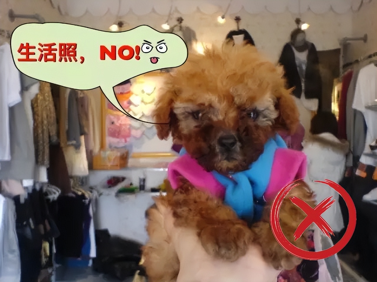 考试用的照片要求_法律职业资格考试报名照片不合格原因_2022年国家统一法律职业资格考试报名照片要求