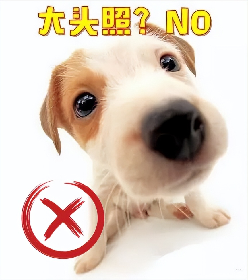 法律职业资格考试报名照片不合格原因_考试用的照片要求_2022年国家统一法律职业资格考试报名照片要求