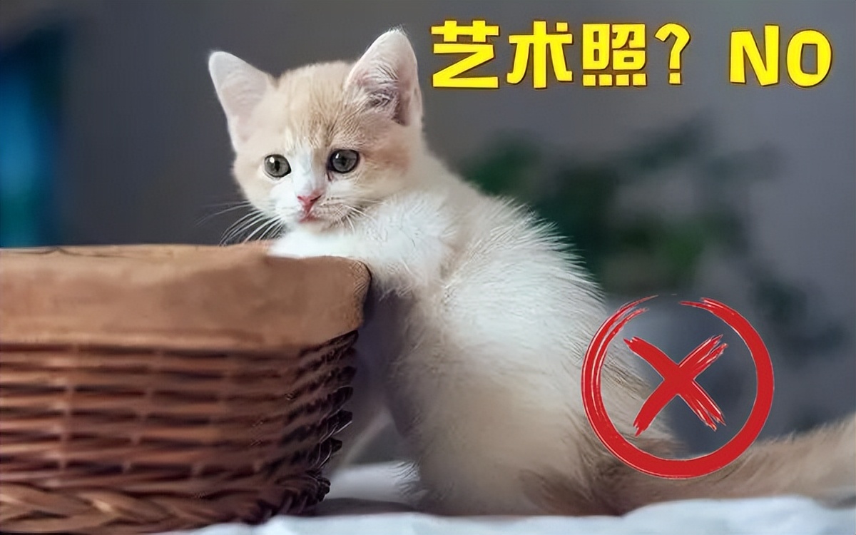 考试用的照片要求_2022年国家统一法律职业资格考试报名照片要求_法律职业资格考试报名照片不合格原因