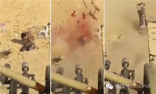 毛不易父母是高官_男主是高官女主是小三_高官弃女易婚难嫁碎不