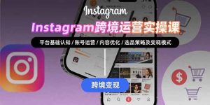 Instagram跨境运营实战：平台认知/账号运营/内容优化/选品策略及变现模式