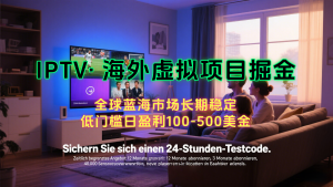 可做海外虚拟掘金