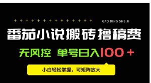 番茄小说创作人搬砖赚稿费，无风控单号日入100＋，小白轻松掌握，可矩…