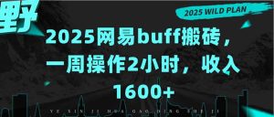 2025网易buff搬砖，一周操作2小时，收入1600+