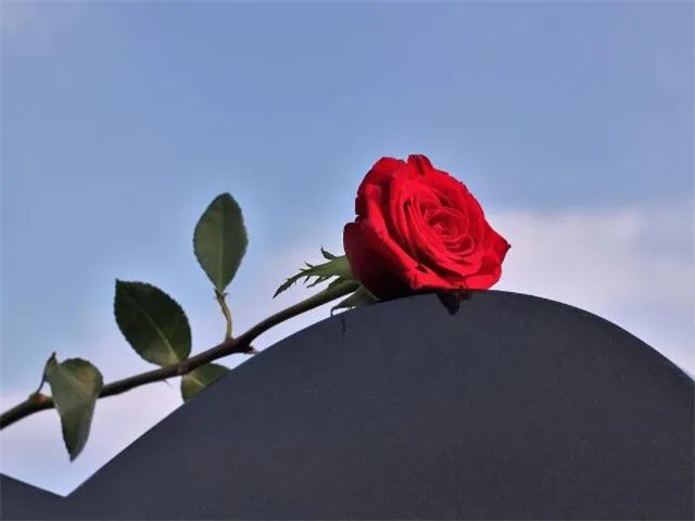 安慰亲人去世怎么说_如何安慰失去亲人的朋友_好朋友去世了怎么安慰