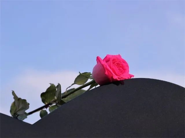 如何安慰失去亲人的朋友_好朋友去世了怎么安慰_安慰亲人去世怎么说