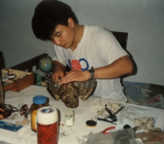 动物标本制作技艺_做动物标本有培训学校_北刘标本制作技艺