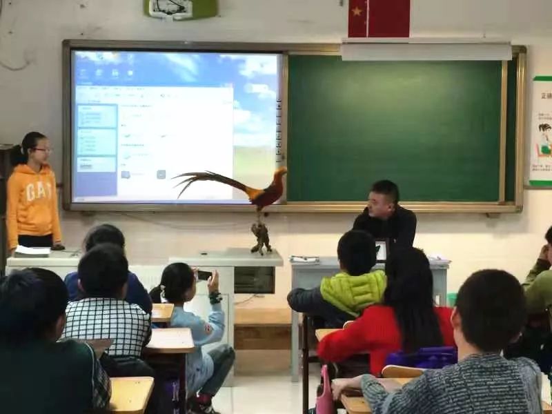 做动物标本有培训学校_动物标本制作技艺_北刘标本制作技艺