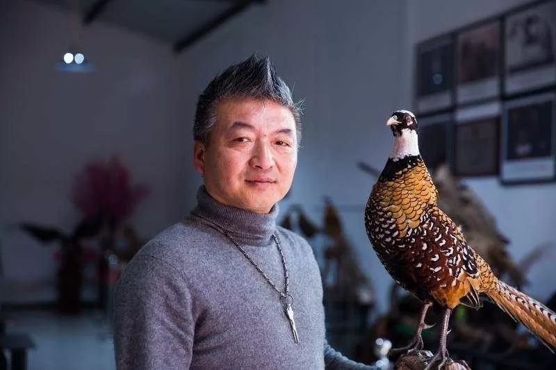 做动物标本有培训学校_北刘标本制作技艺_动物标本制作技艺