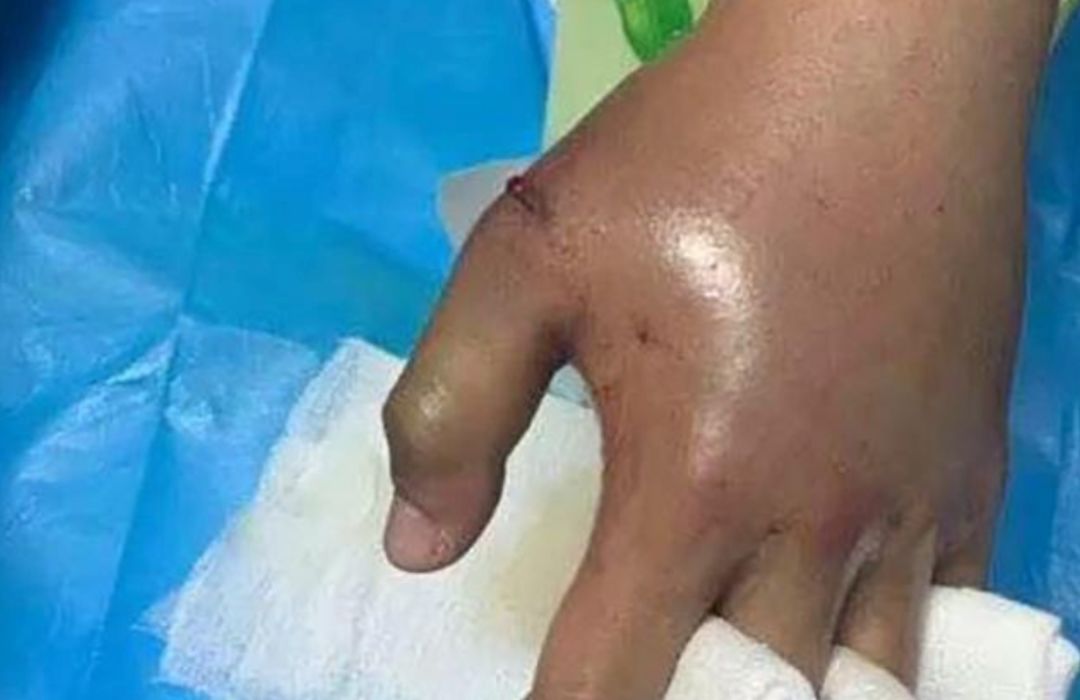 什么网站可以买宠物_网购活体动物_快递邮寄活体动物