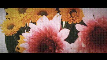 VUE手机视频制作软件_朋友圈VUE视频剪辑_朋友圈vue是什么软件